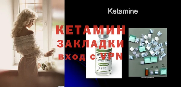 индика Тихвин