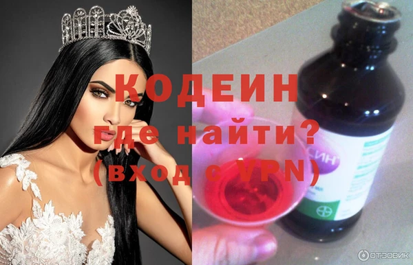 индика Тихвин