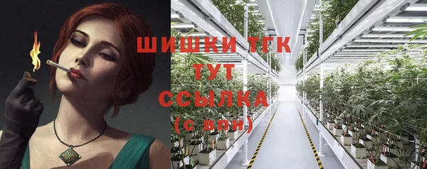 индика Тихвин