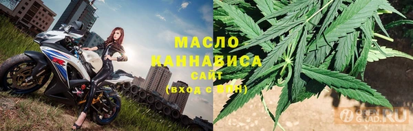 индика Тихвин