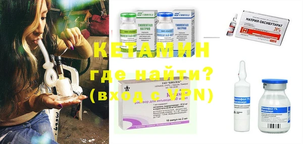 индика Тихвин