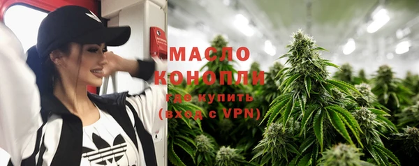 индика Тихвин