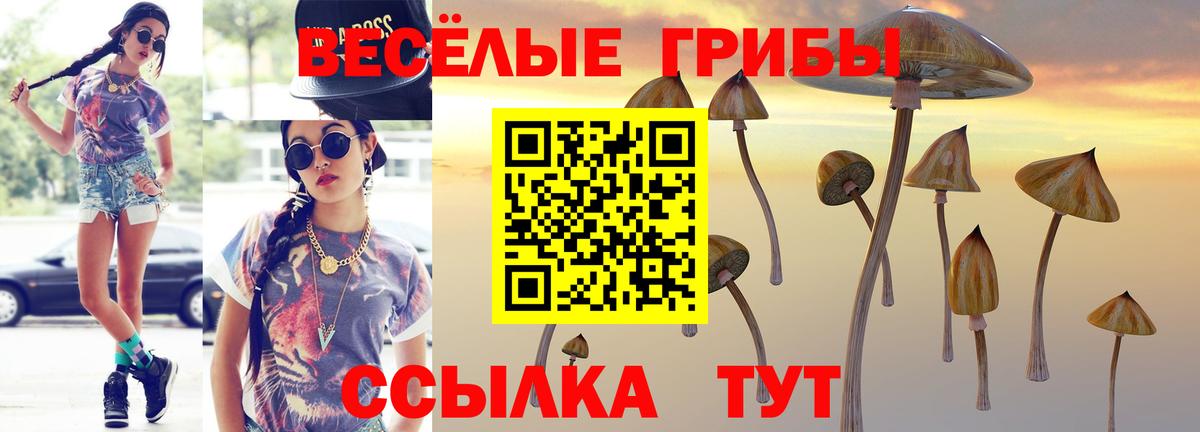 Шали  Псилоцибиновые грибы прущие грибы  Вход с VPN 