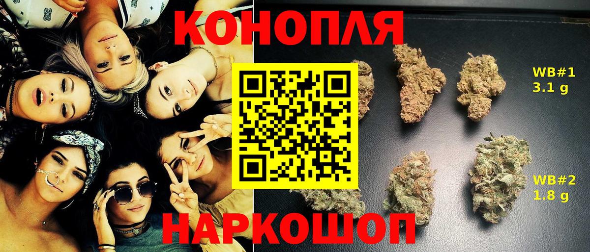 Бошки марихуана конопля Шали